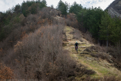 P2050439