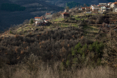 P2050505