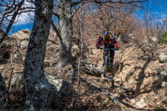 IMG_6151