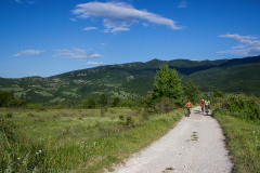 IMG_8831_edit