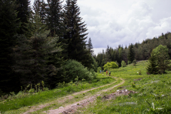 IMG_8877_edit