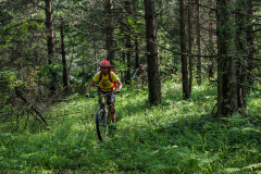 P6148704_edit