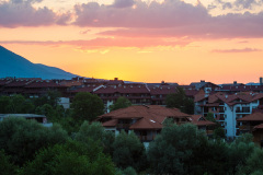 DSC5147