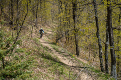 IMG_1356