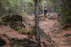 IMG_5456