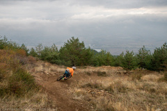 IMG_9768