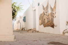 270David-Cachon-MTB-Adventure-Tunez-LOW