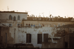 2David-Cachon-MTB-Adventure-Tunez-LOW