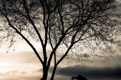 David-Cachon-PATROL-Mountain-SHIMANO59