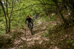 IMG_7057