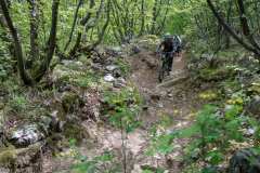 IMG_7125