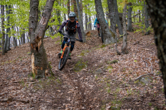 IMG_7170