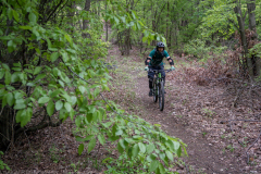IMG_7321