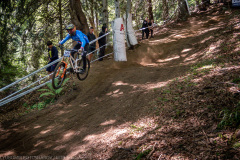 IMG_2216