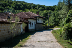 IMG_3282