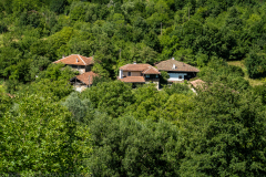 IMG_3287