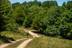IMG_3325