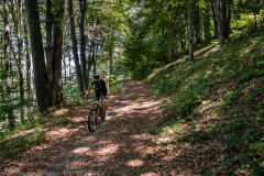 IMG_3336