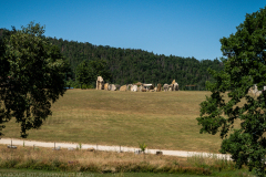 IMG_3362