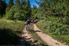IMG_3386