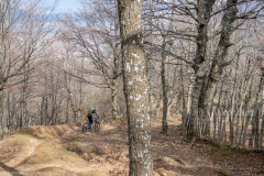 IMG_1941
