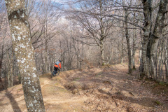 IMG_1944