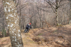 IMG_1947-2