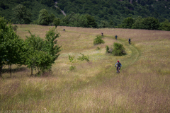teteven-2021_053