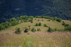 teteven-2021_068