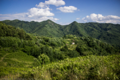teteven-2021_087