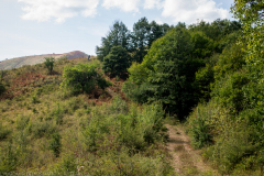 teteven-2021_165