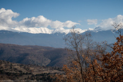 IMG_6565