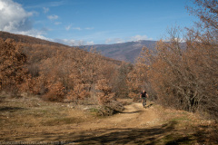 IMG_6566