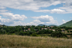 IMG_2993