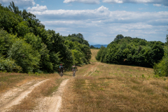 IMG_3014
