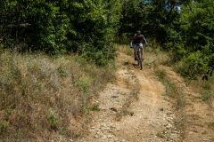 IMG_3027