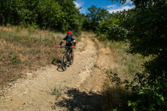 IMG_3029
