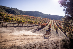 HD_NAVARRA-MTB-Kingdom_David-Cachon64
