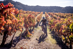 HD_NAVARRA-MTB-Kingdom_David-Cachon67