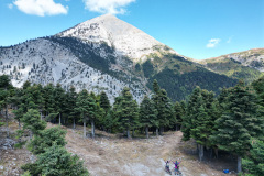 DJI_0006