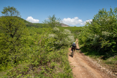 IMG_6974