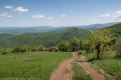 IMG_6988