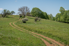 IMG_7023