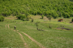 IMG_7049