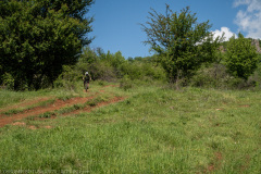 IMG_7054