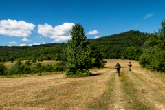 IMG_3109