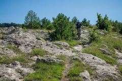 P6278869
