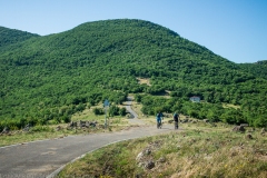 P6288891