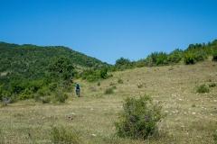 P6288917