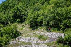 P6288922